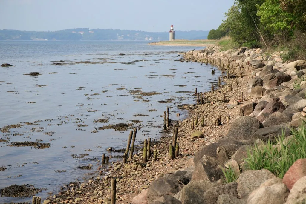 Vejle Fjord i ubalance: Nyt projekt skal få fiskene tilbage