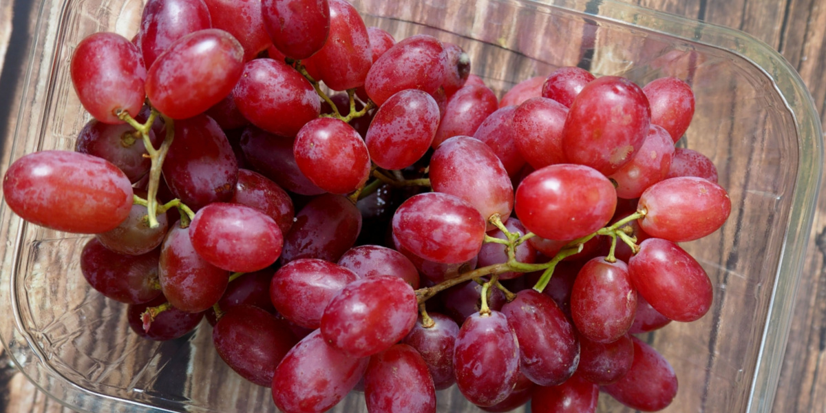 Tove gjorde ulækkert fund i vindruer: ‘Jeg var chokeret’