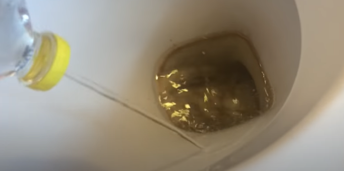 Hun hælder eddike i toilettet – få timer efter kan hun ikke tro sine egne øjne