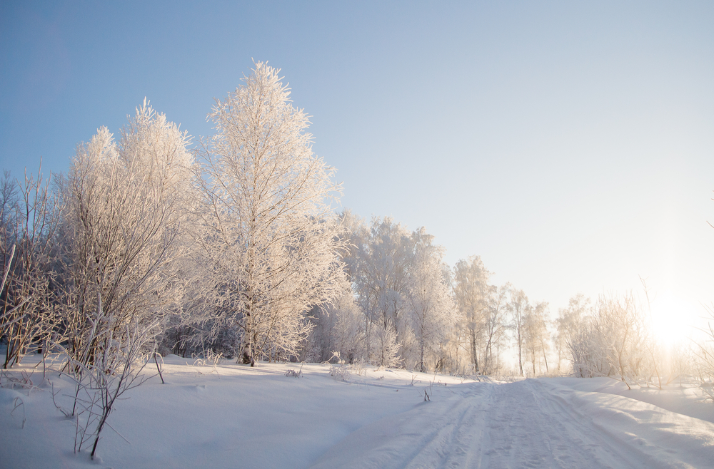 DMI: Se hvilke dage, du kan forvente sne