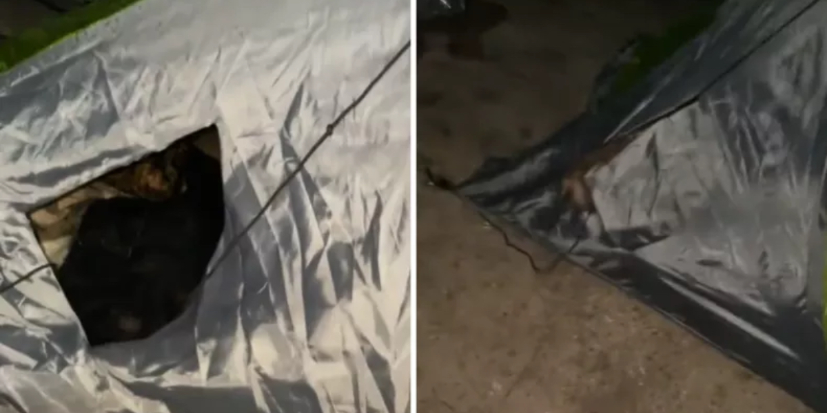 Campist opdager på den hårde måde, at du aldrig er ‘sikker fra noget som helst’