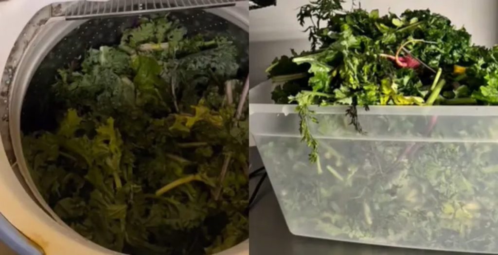 Kvinde smider grøntsager i vaskemaskinen: Se så hvad der sker