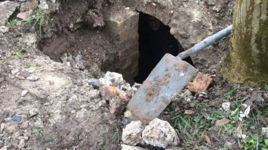 Husejere fik deres livs chok, da de gravede haven op: Gjorde en helt særlig opdagelse