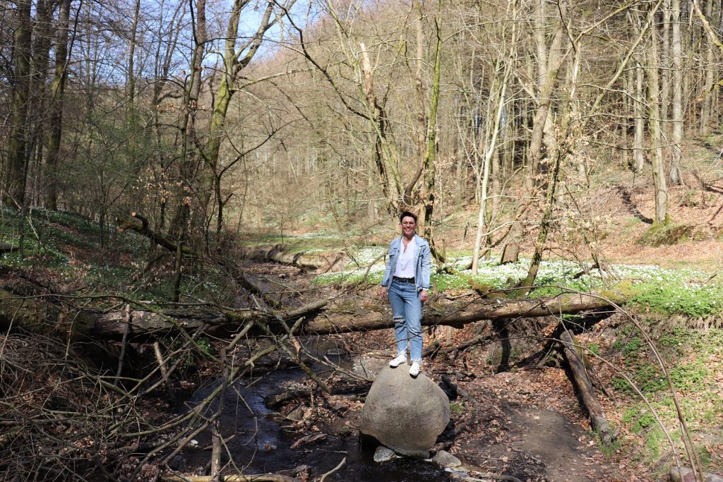 Mit Vejle: Det er svært at være stresset i en skov så smuk som Søndermarksskoven