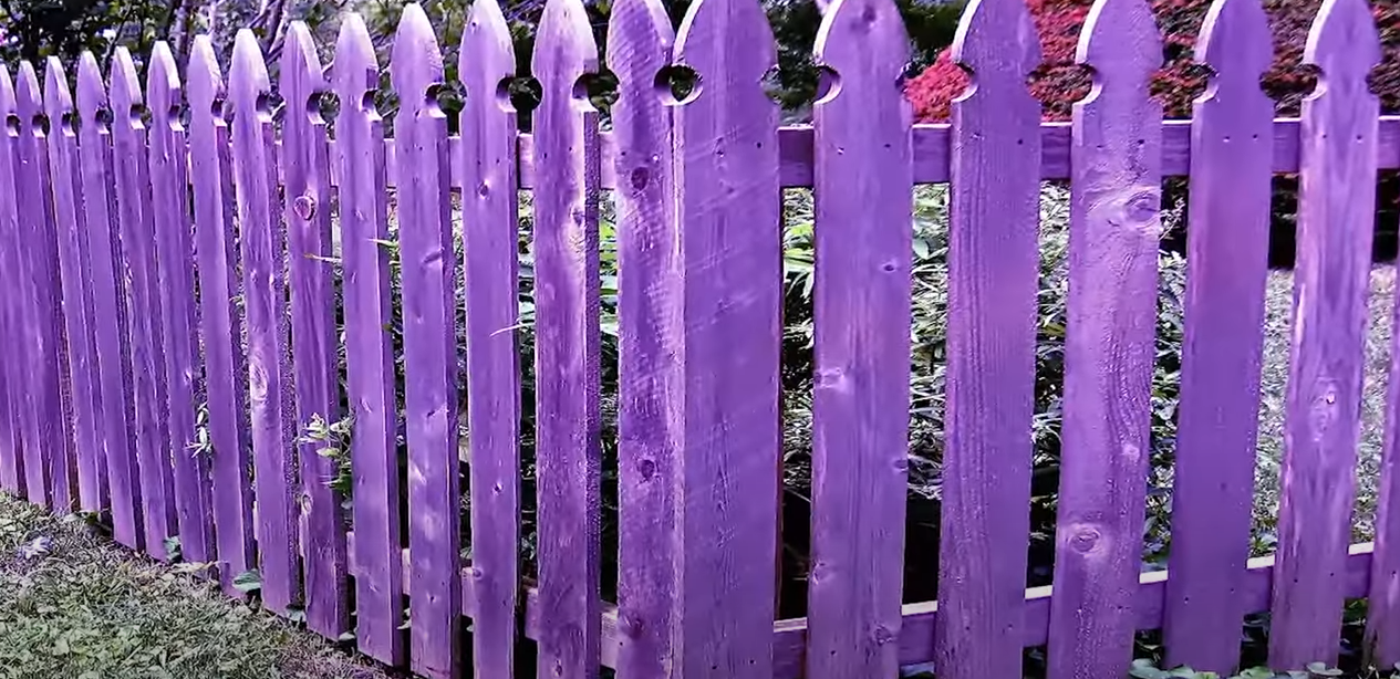 Næsten ingen danskere ved det: Dette må du ikke gøre, hvis du støder på et lilla hegn