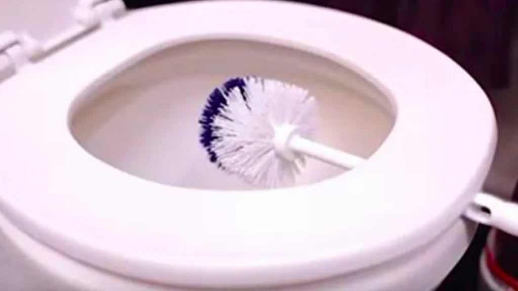 Hun efterlader børsten under toiletbrættet i 10 minutter: Årsagen er forbløffende