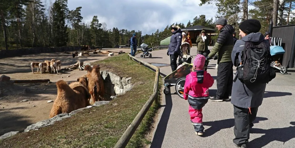 Tragedie: Dyrepasser død i zoo