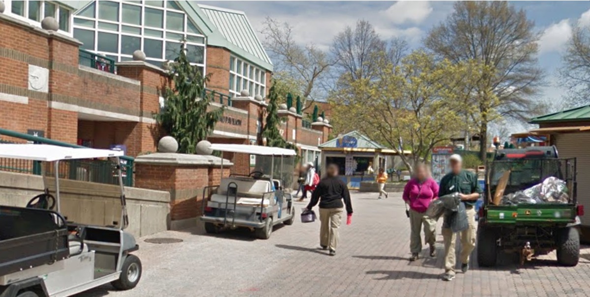 Zoo i sorg: Elefant død efter møde med hund