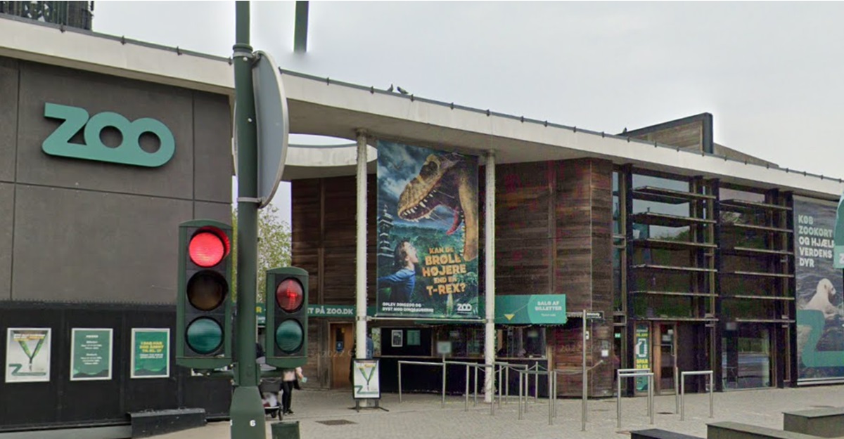 Københavns Zoo i stort tab efter storm: ‘Jeg tror desværre, de alle er døde’