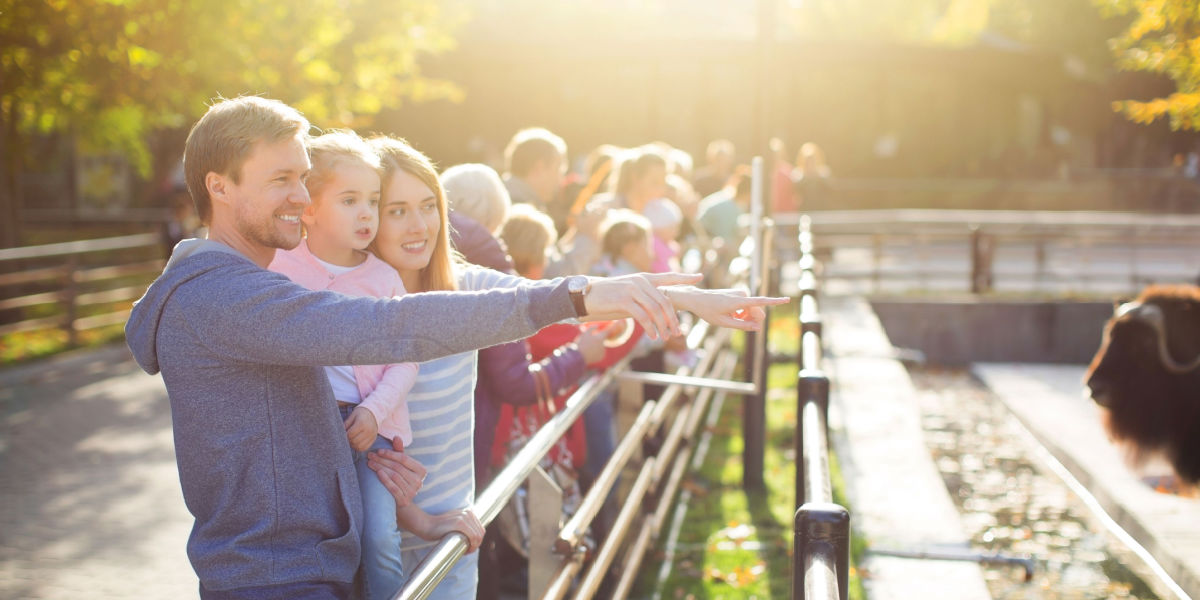 Mand besøgte lokal zoo: Hvad han fangede på kameraet, er ALDRIG blevet fotograferet før